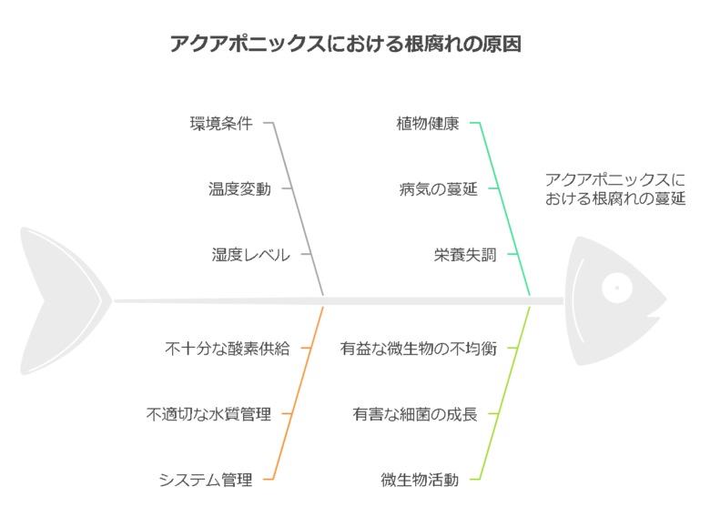 根腐れ：アクアポニックスの成功を阻む壁