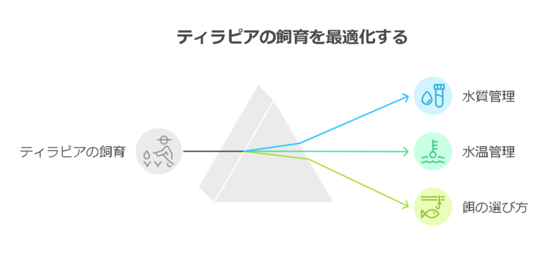 3. ティラピアの飼育方法