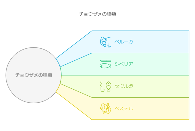 2. チョウザメの種類