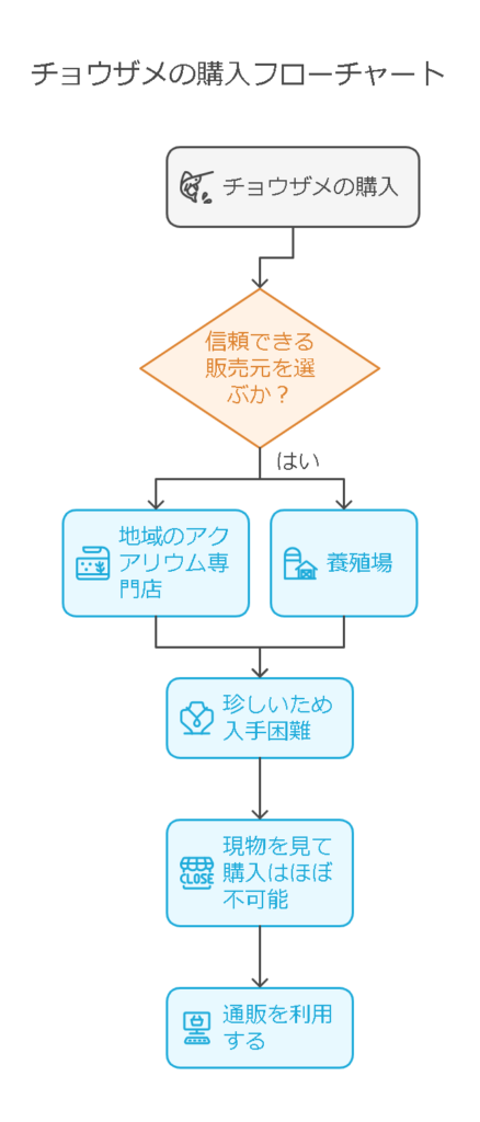 4. チョウザメの購入場所