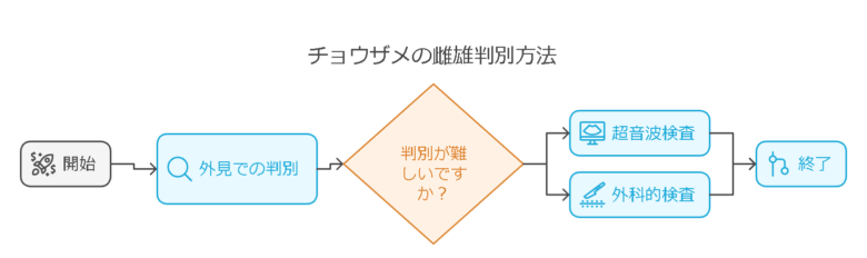 6. チョウザメの雌雄の判別方法