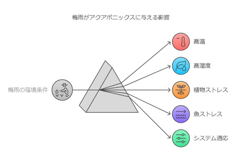 1. 梅雨時期のアクアポニックス環境