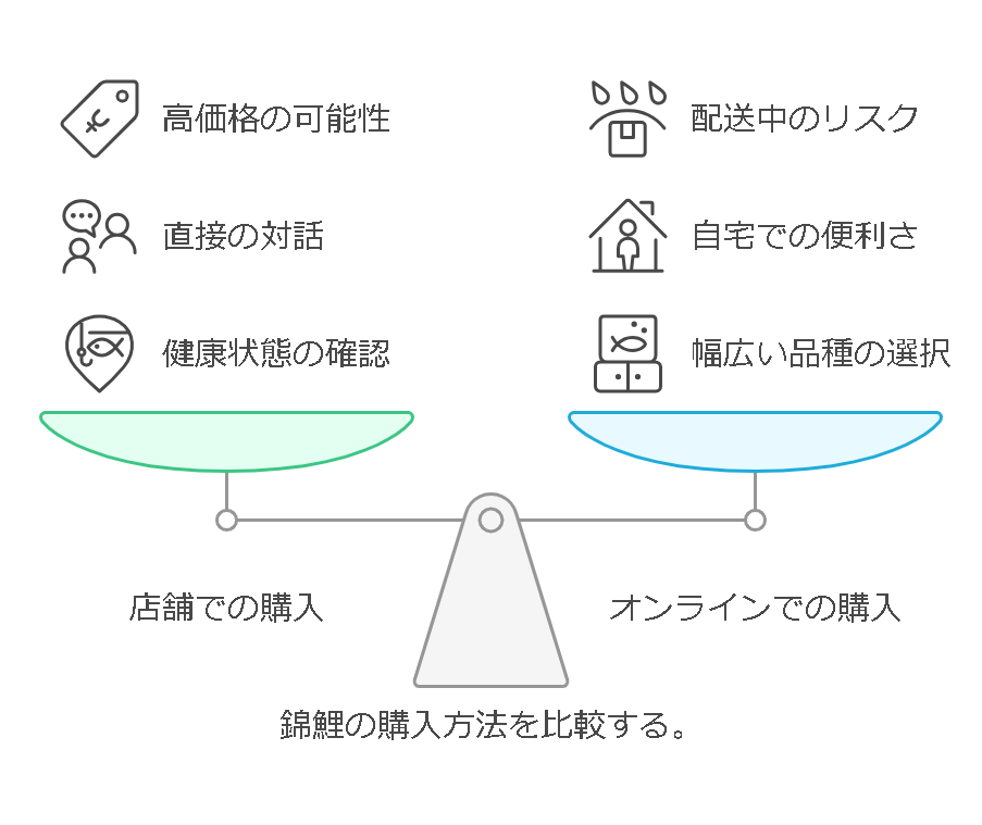 錦鯉の購入方法は店頭か通販