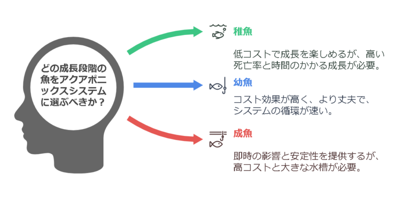 稚魚か幼魚、成魚どれをえらぶのか？の答えは幼魚
