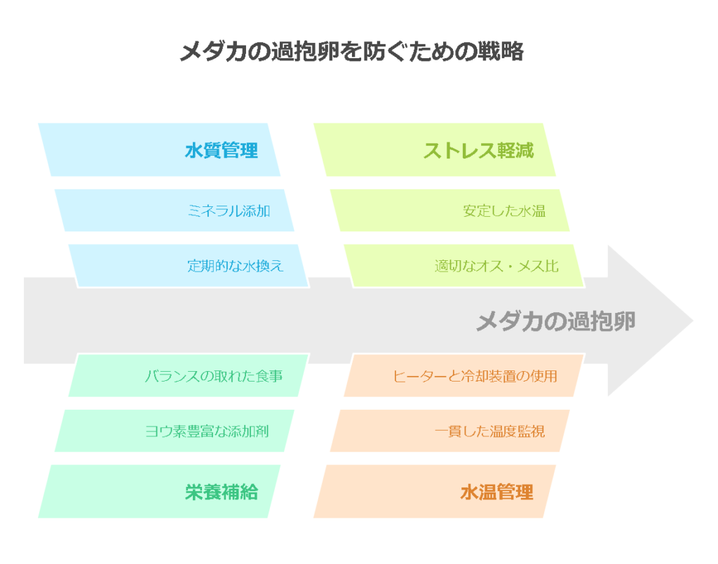 過抱卵を予防する！メダカに最適な飼育環境と日々のケア方法