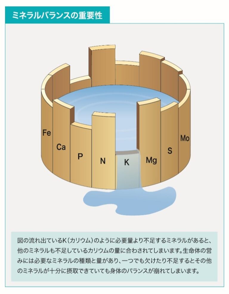 リービッヒの最小律とは？植物栽培の成長を制限する見えない壁を知る - 鷲林寺アクアファーム 