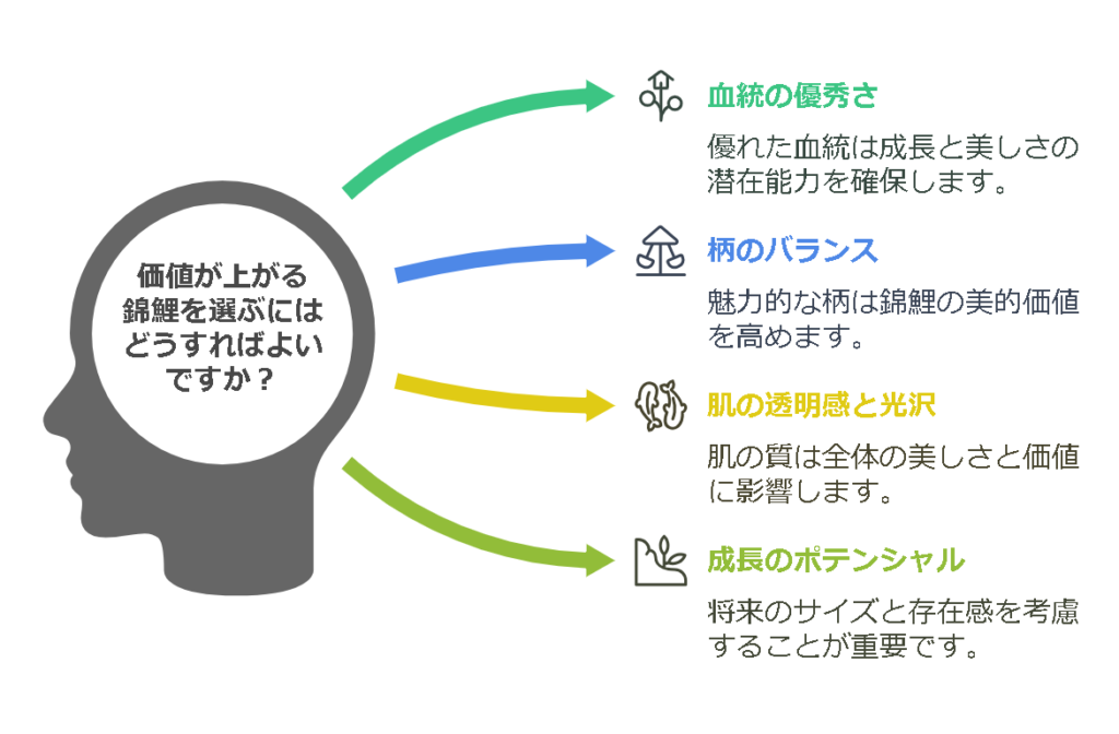 日本で一番高い錦鯉とは？