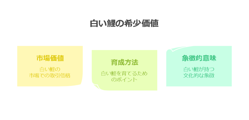 白い鯉の希少価値