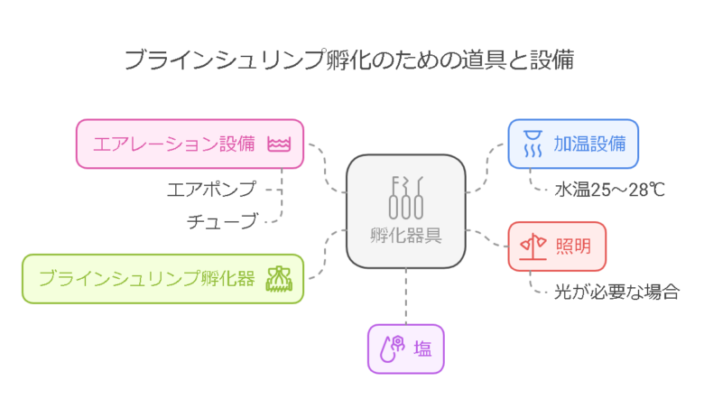 ブラインシュリンプの孵化方法と管理のポイント