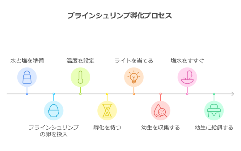 孵化手順と成功率を上げるコツ