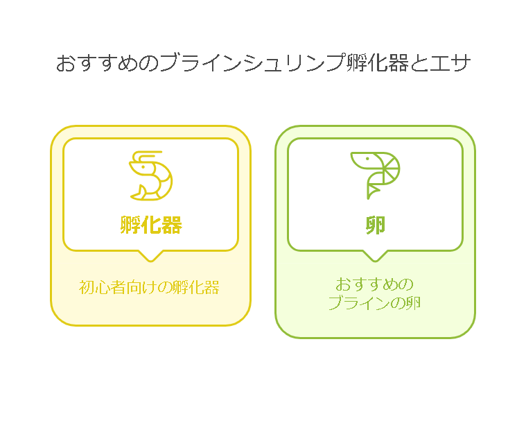 おすすめのブラインシュリンプ孵化器とエサの選び方