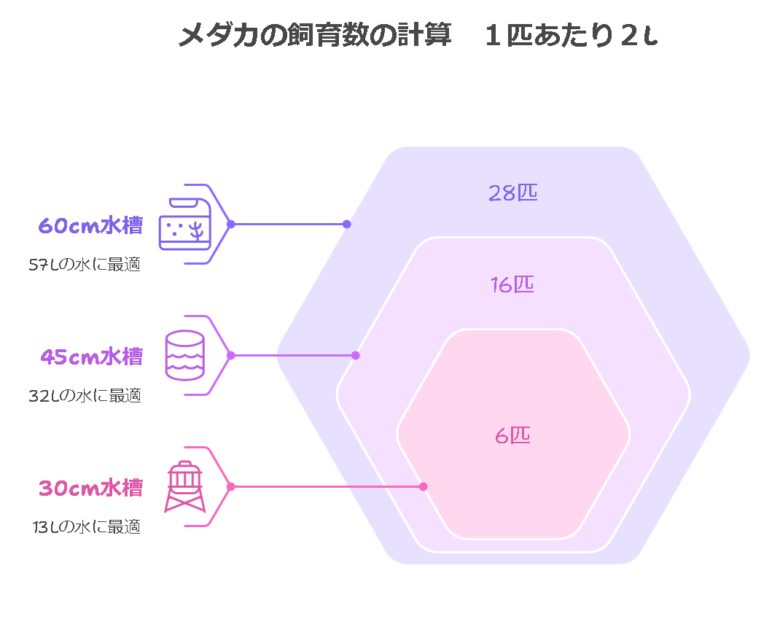 水槽の選び方（室内向け）