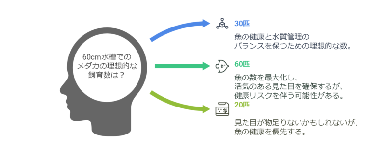 水槽サイズと適正メダカ数の関係