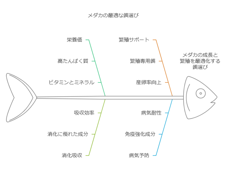 【若魚～成魚向けのおすすめのエサ】