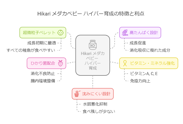 4. Hikari(ヒカリ) メダカベビー ハイパー育成