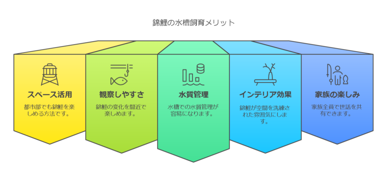 錦鯉を水槽で飼育するメリット