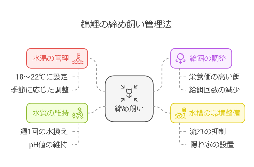 錦鯉の「締め飼い」とは？