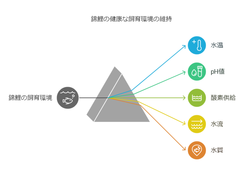 錦鯉の寿命を延ばすためのポイント