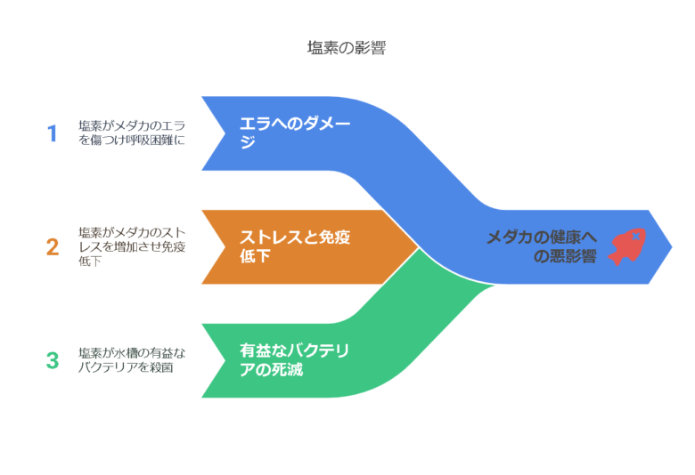 カルキ（塩素）がメダカに与える影響