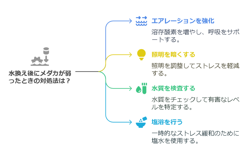 水換え後にメダカが弱ったときの具体的な対処法