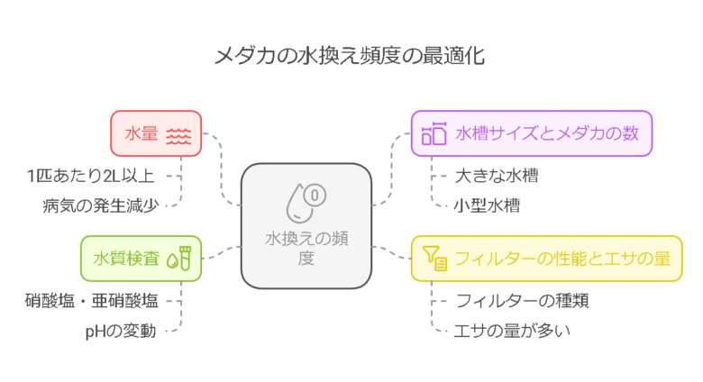 水換えの頻度はどのくらいが適切か？