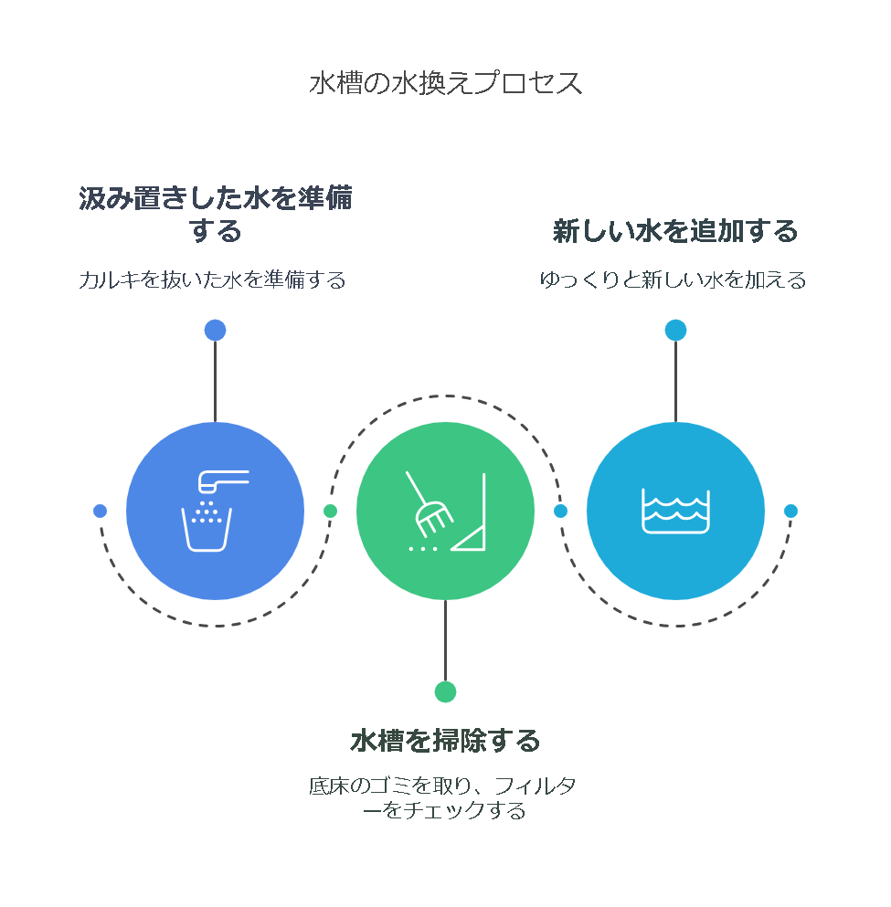 水換えの正しい方法