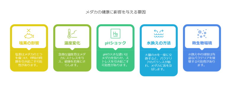 1. 水換え後にメダカが弱るのは「水質ショック」が原因！5つの主な理由とは？