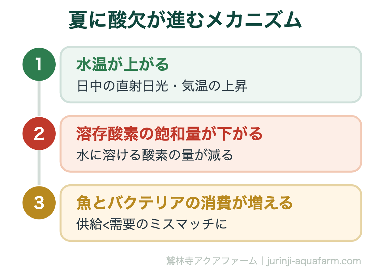 夏の酸欠対策｜夏に酸欠が進むメカニズム。病原菌や設備の故障がなくても、この3段階だけで酸欠は進行します