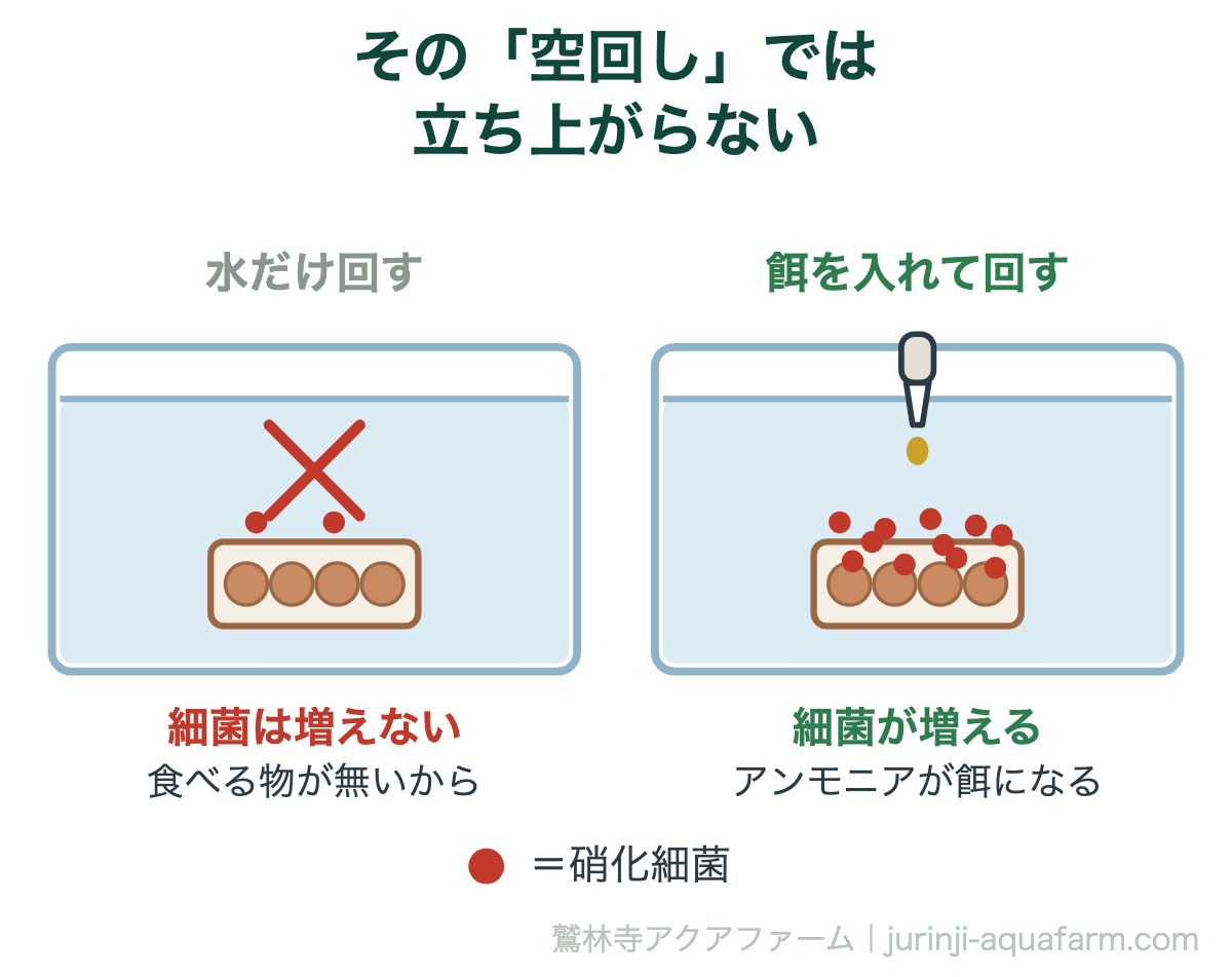 その「空回し」では立ち上がらない。アクアポニックスの立ち上げ手順