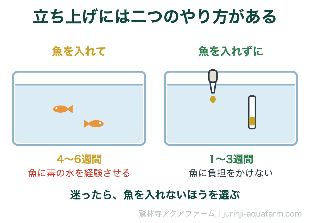 立ち上げには二つのやり方がある。アクアポニックスの立ち上げ手順