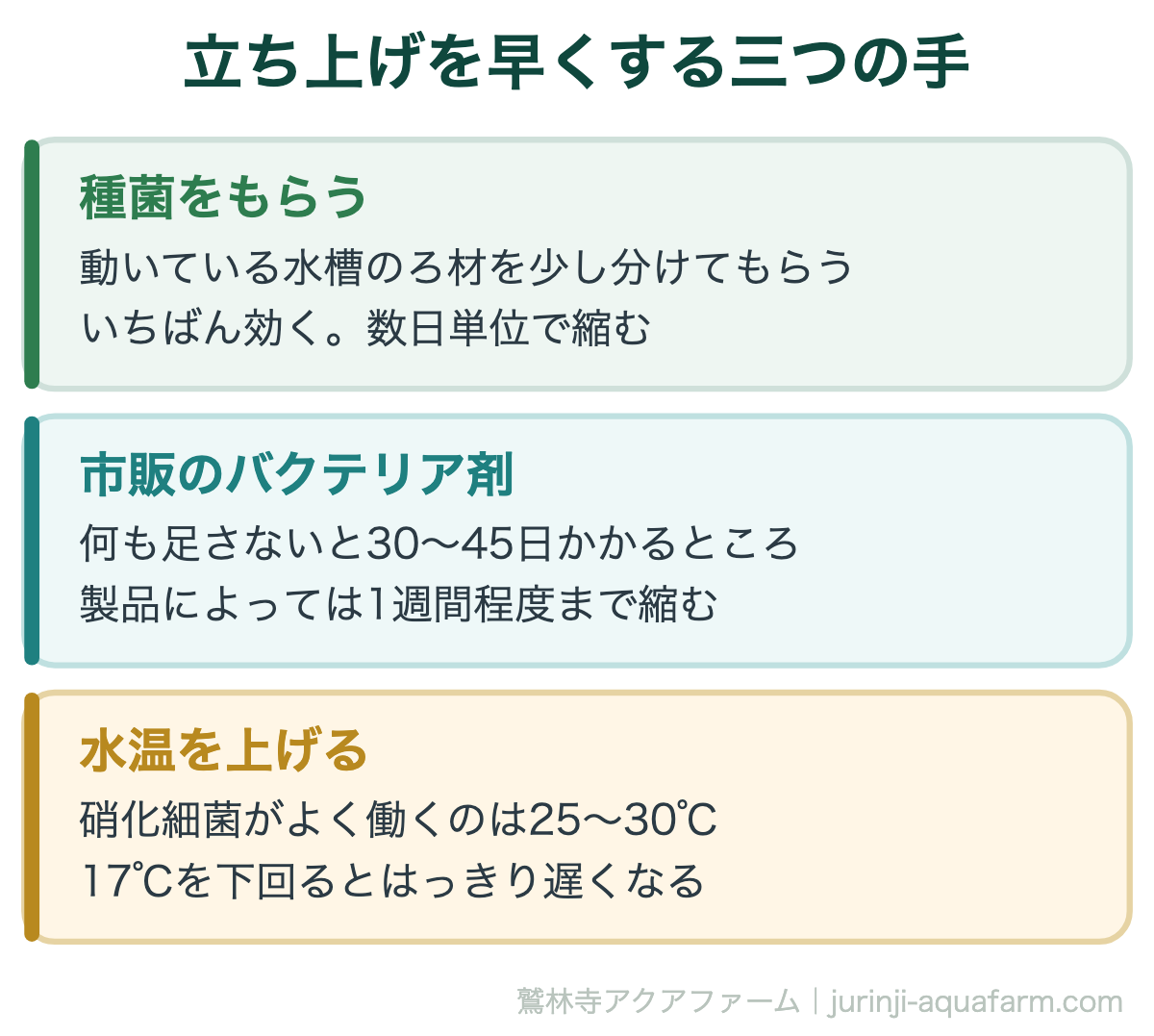 立ち上げを早くする三つの手。アクアポニックスの立ち上げ手順