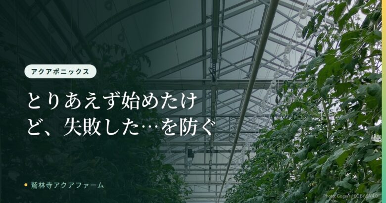 「とりあえず始めたけど、失敗した…」を防ぐ！アクアポニックスを始める前に知るべき7つのコツ のアイキャッチ画像