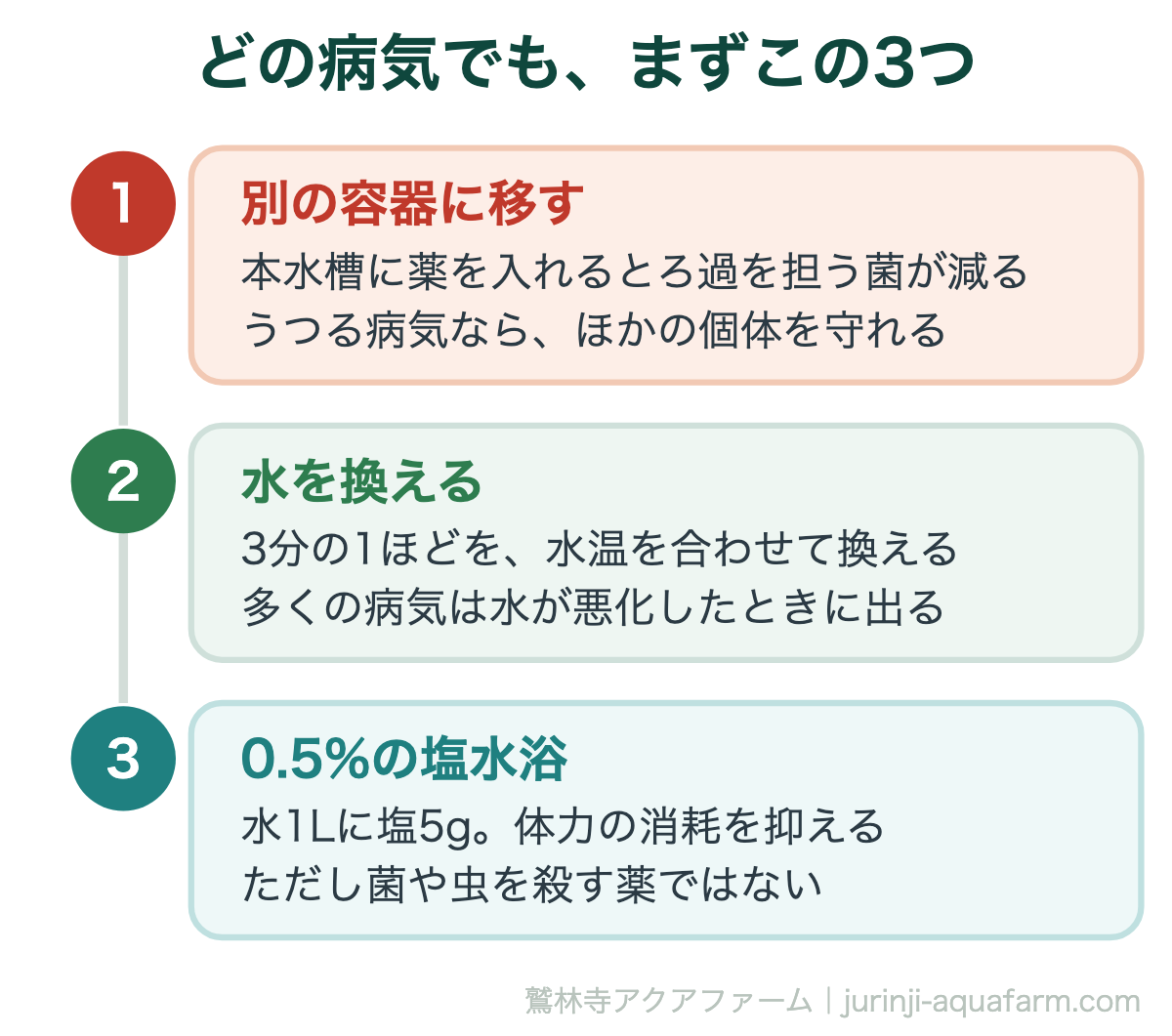 メダカの病気の見分け方｜どの病気でも、まずこの3つ。病名が分からなくても、この3つは共通して効く。薬はそのあとでよい