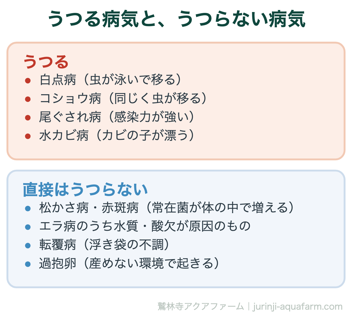 メダカの病気の見分け方｜うつる病気と、うつらない病気。ただし右側も、1匹に出たら「同じ水にいる全部が危ない」ことに変わりはない