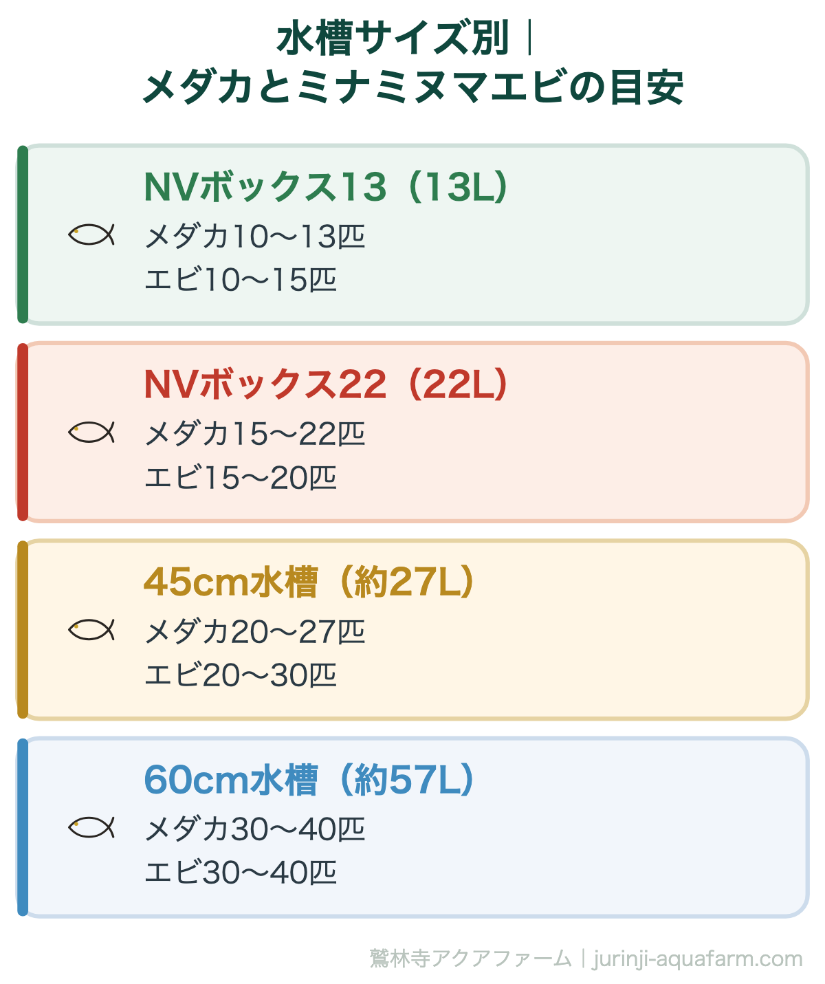水槽サイズ別｜メダカとミナミヌマエビの目安。メダカとエビの最適な比率
