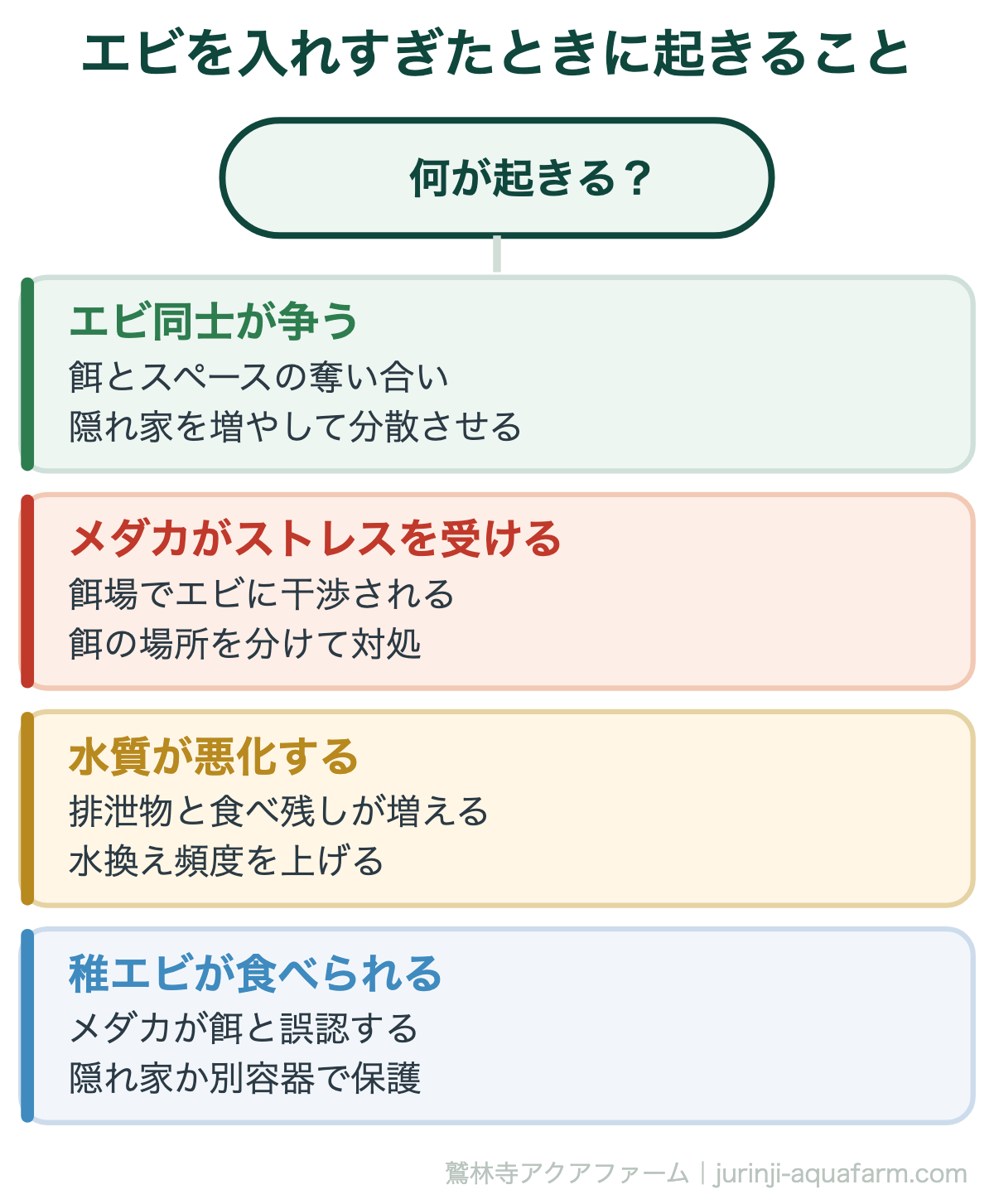エビを入れすぎたときに起きること。メダカとエビの最適な比率