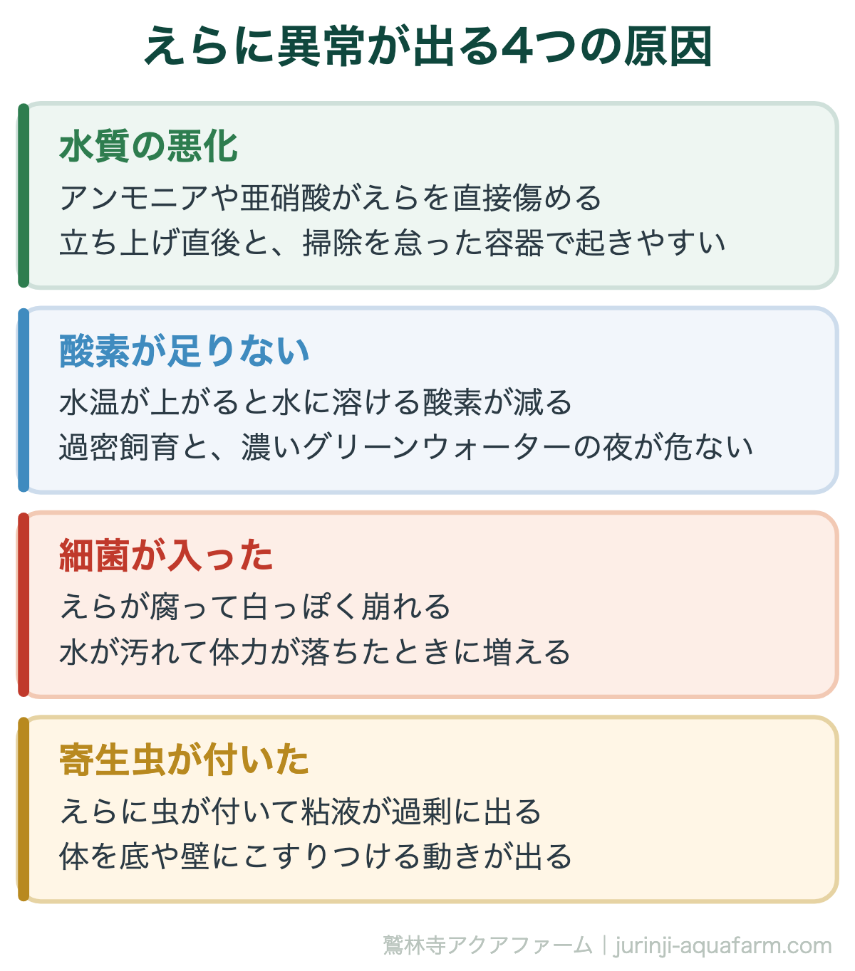 メダカのエラ病｜えらに異常が出る4つの原因。前の2つは水を直せば戻る。後の2つは薬が要る。だから切り分けが先