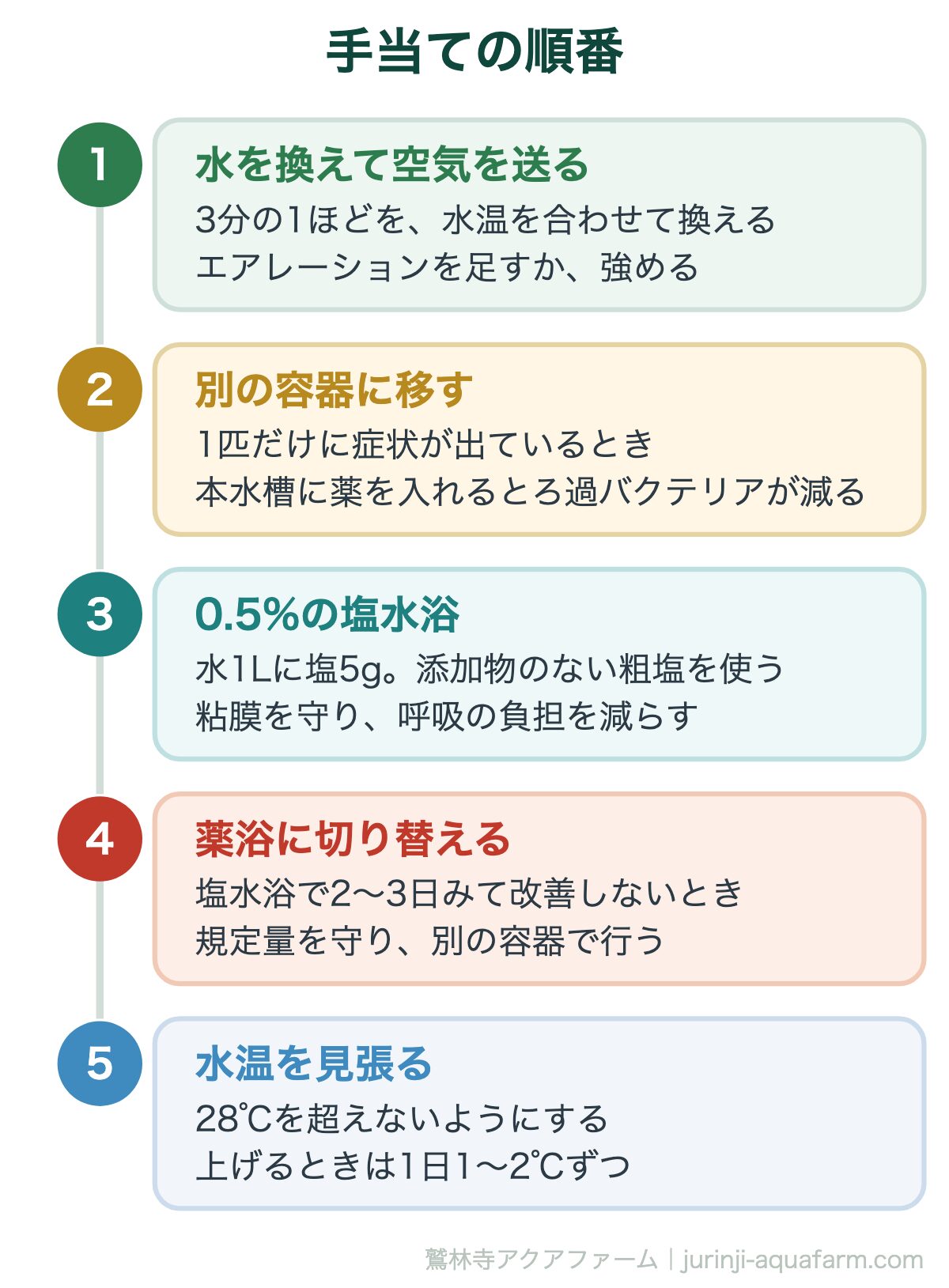 メダカのエラ病｜手当ての順番。上から順に。水を直すだけで戻ることが多いので、薬は4番目でよい