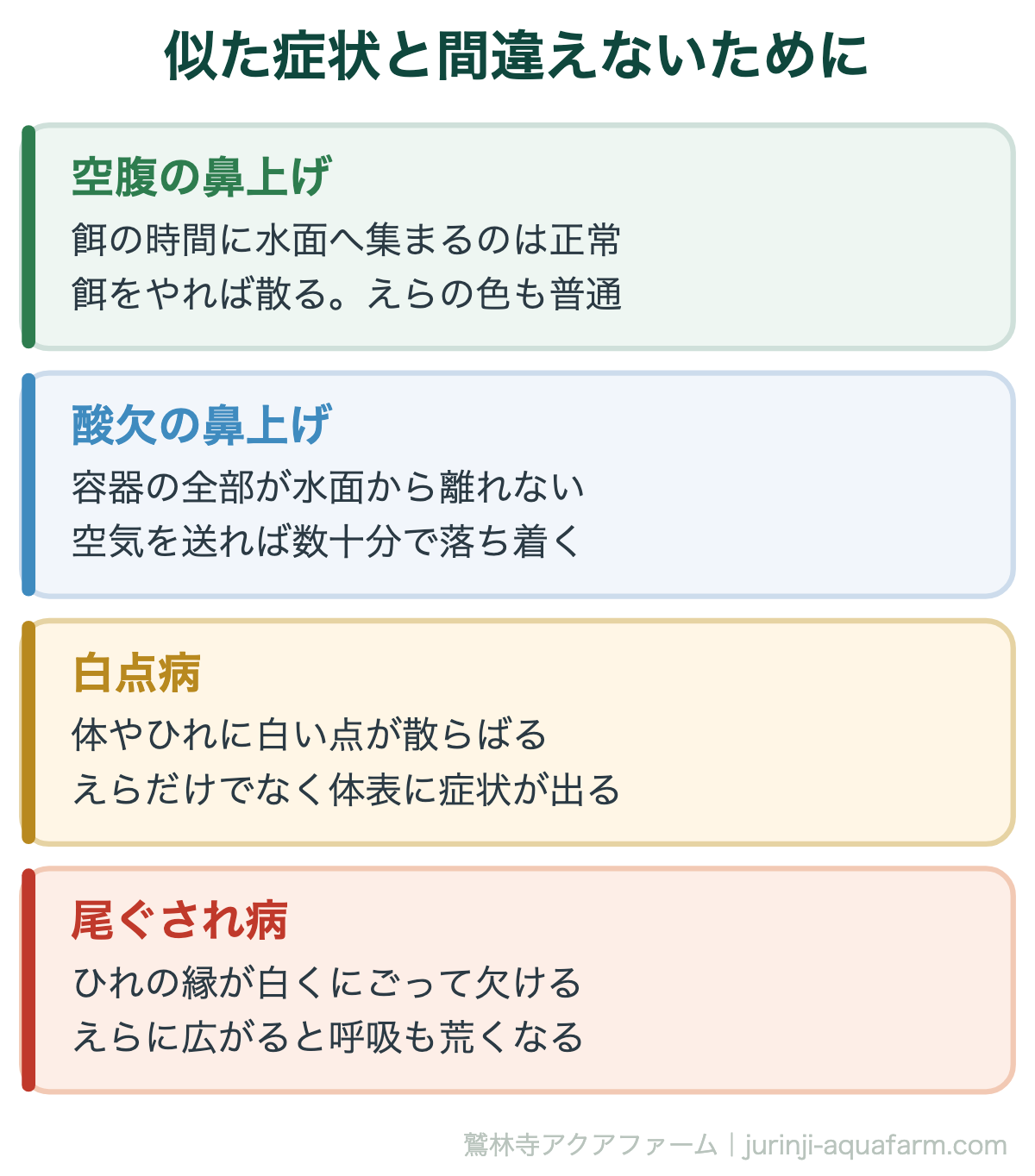 メダカのエラ病｜似た症状と間違えないために。鼻上げは病気だけのサインではない。まず正常な鼻上げを除外する