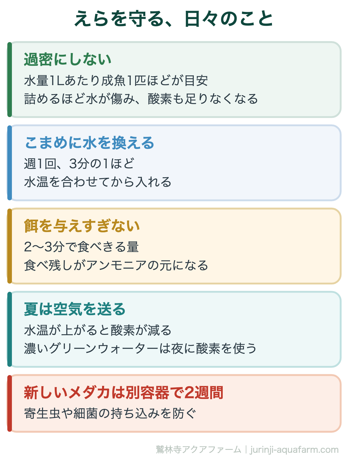 メダカのエラ病｜えらを守る、日々のこと。エラ病は「水が悪くなったときに出る」病気。予防はほぼ水の管理に尽きる
