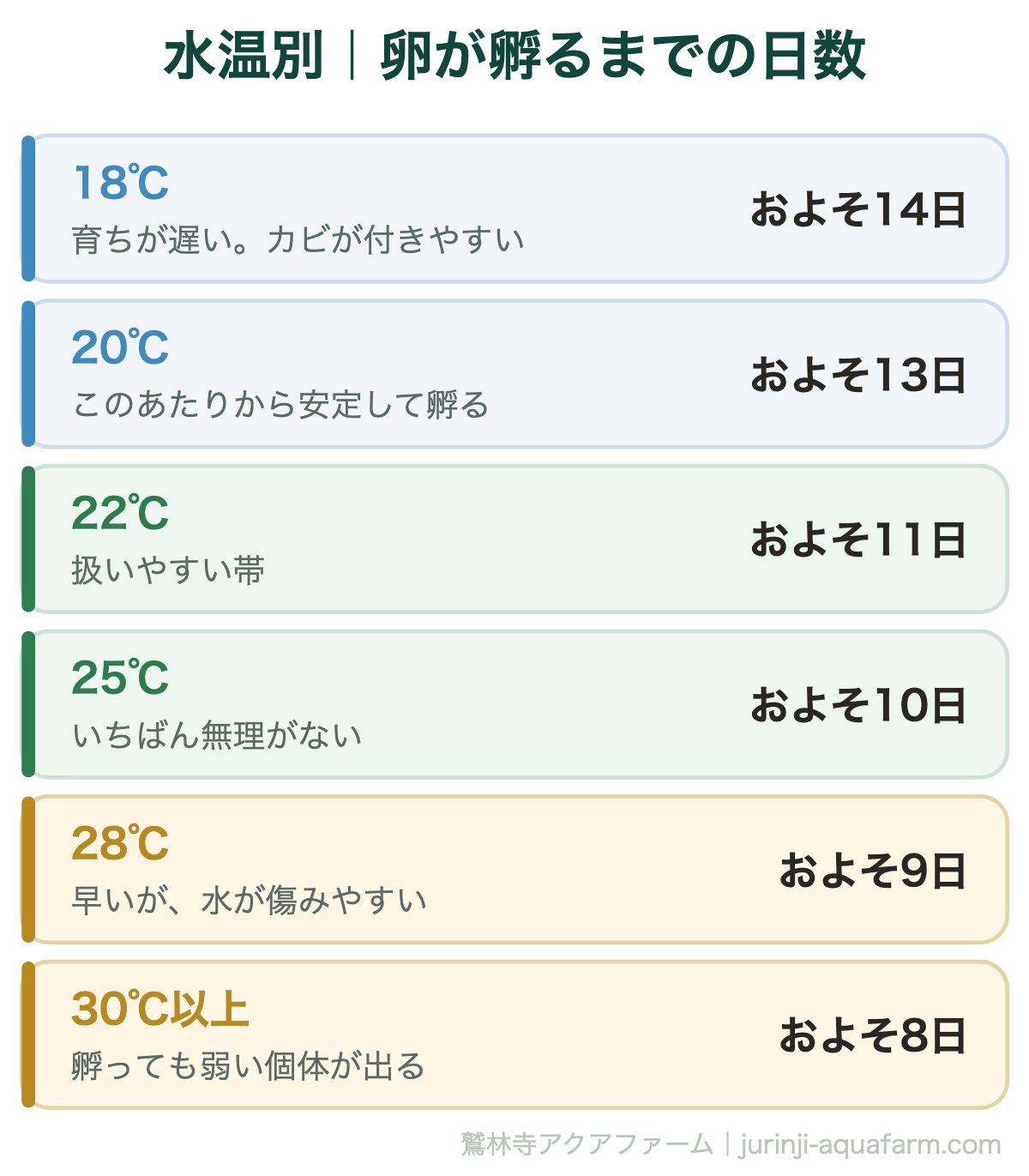 メダカの卵が孵るまでの日数。水温25℃でおよそ10日、20℃でおよそ13日