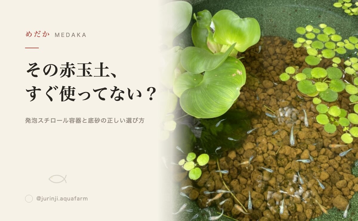 発泡スチロールで簡単メダカ飼育！底砂を使うメリット・デメリット