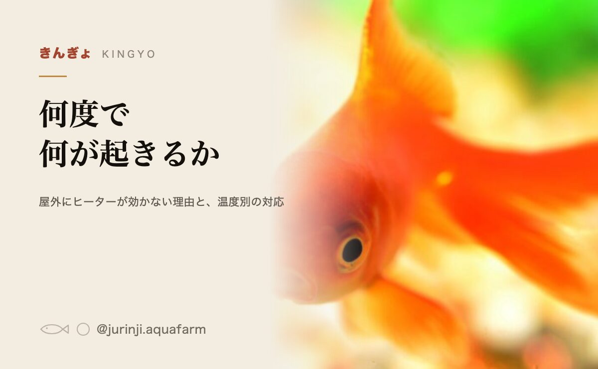 金魚の水温は何度まで。温度別の対応と、屋外にヒーターが効かない理由