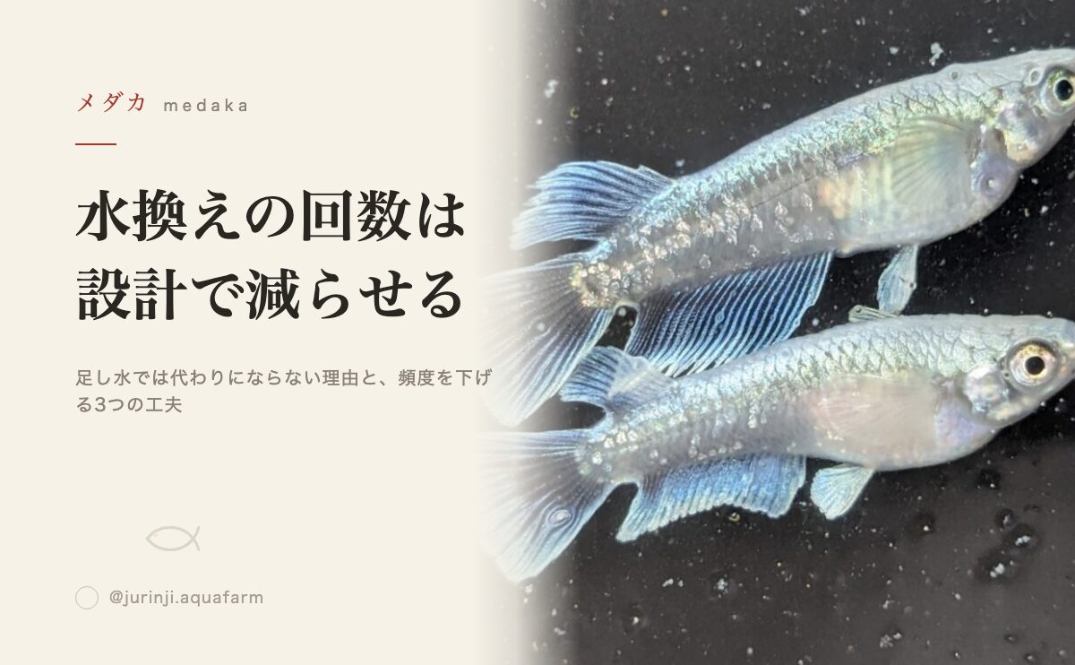 メダカの水換えの頻度を減らす方法を解説するアイキャッチ