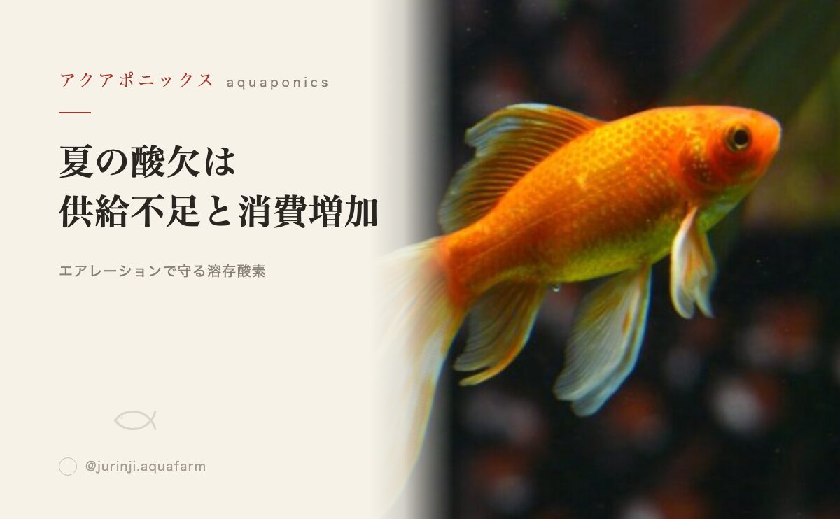 夏の酸欠対策のアイキャッチ