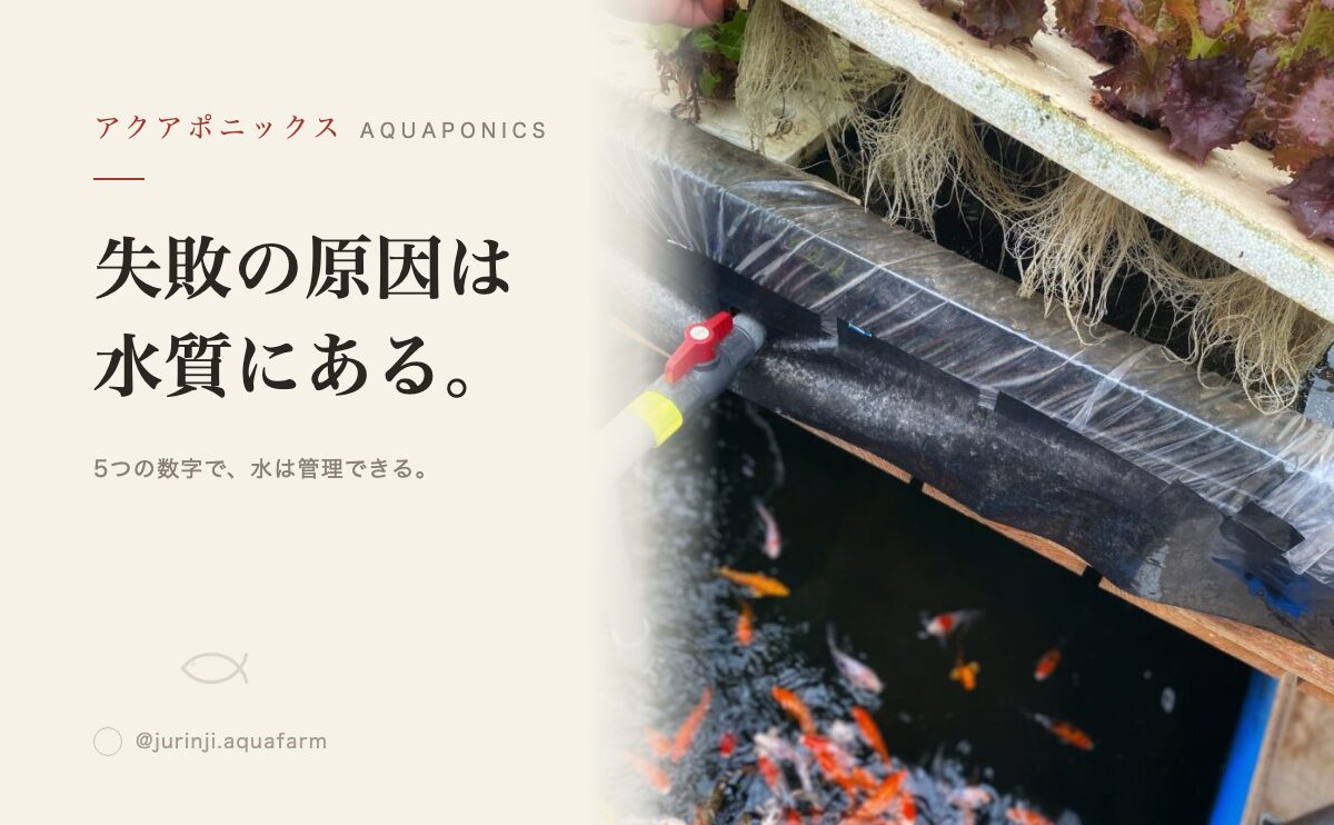 アクアポニックスで失敗する原因は水質管理｜5つの数値