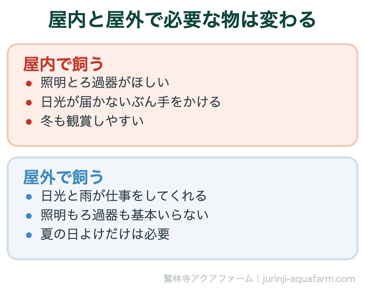 屋内と屋外で必要な物は変わる。メダカ飼育の始め方