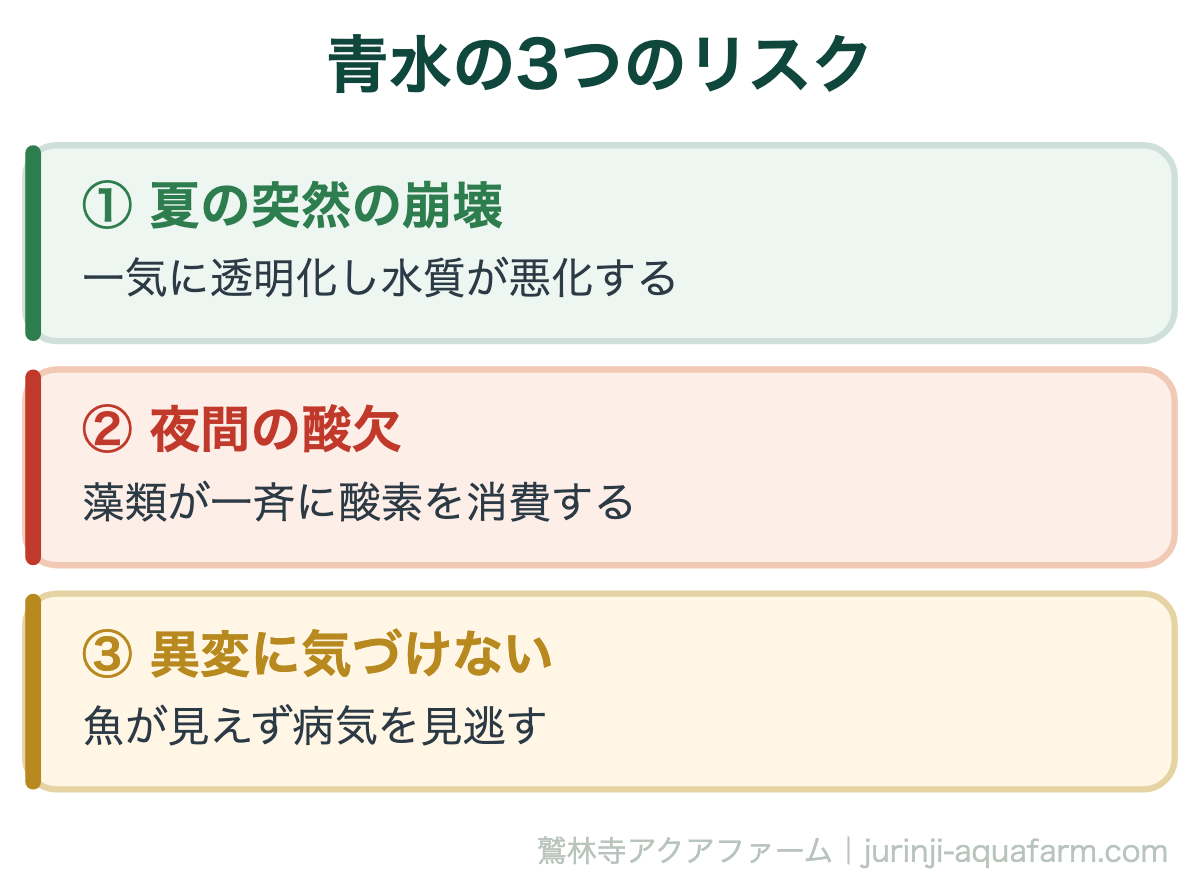 メダカにグリーンウォーターは必要｜青水の3つのリスク。どれも「濃くしすぎたとき」に起きます。青水は濃いほど良いものではありません