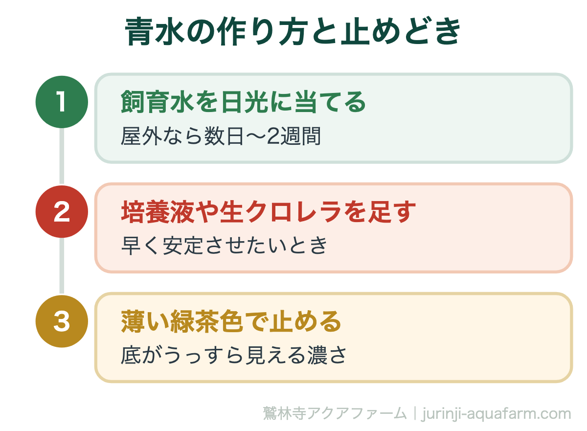 メダカにグリーンウォーターは必要｜青水の作り方と止めどき。濃くしすぎないことが最大のコツです。底が見えなくなったら薄めどきだと考えてください