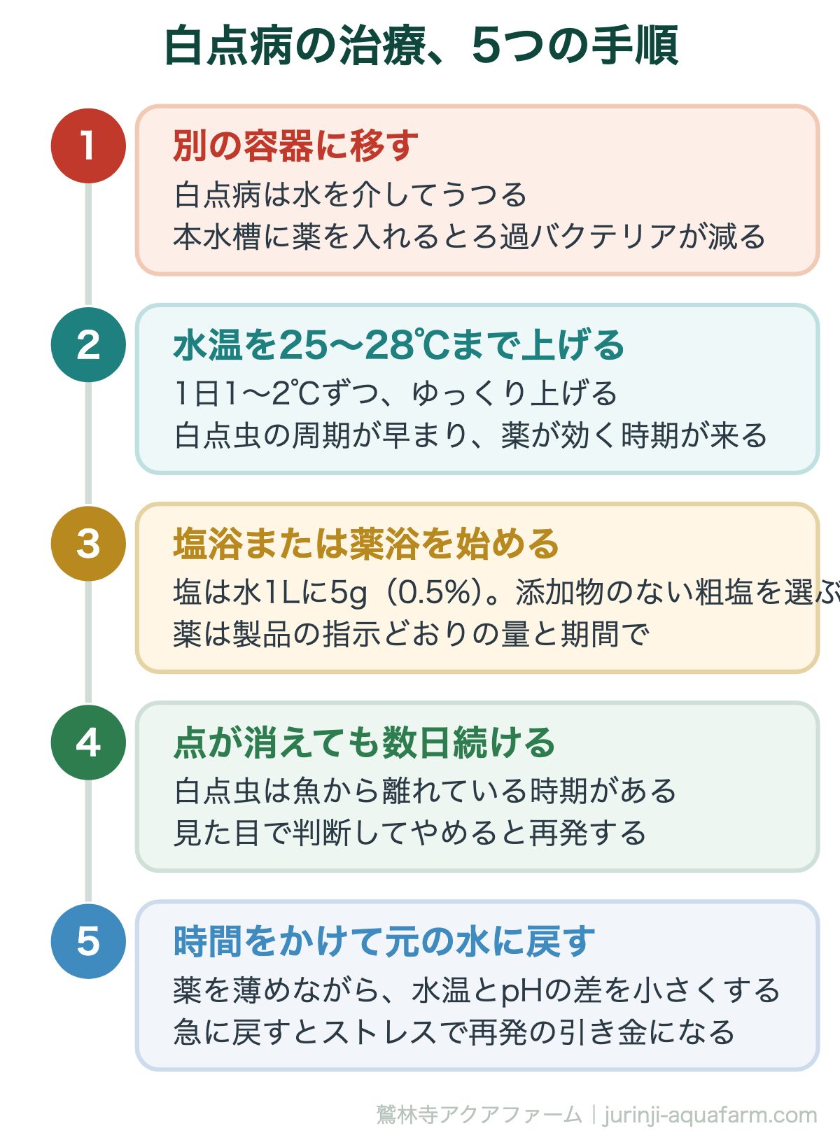 白点病の治療、5つの手順。メダカの白点病とラメの違い